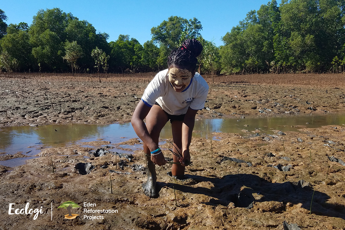 woman planting tree seeds in Madagascar